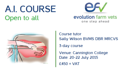 AI COURSE FLYER 1