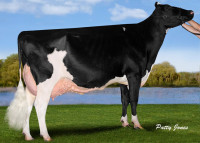  2nd Dam: Quality Goldwyn Flansco EX95