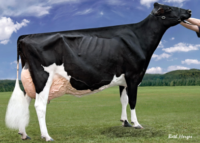 4th Dam: Harvue Roy Frosty EX97-2E