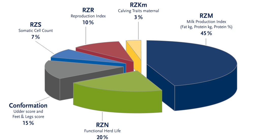 RZG - Kreisdiagramm_new