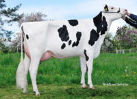 Dam: Kirschenhof Izzi VG88