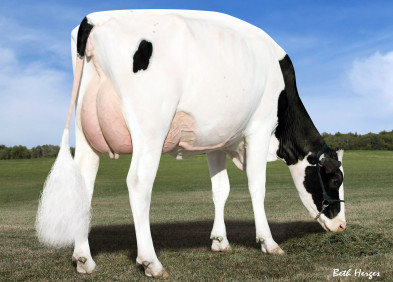 2nd Dam - Des-Y-Gen Planet Silk EX90