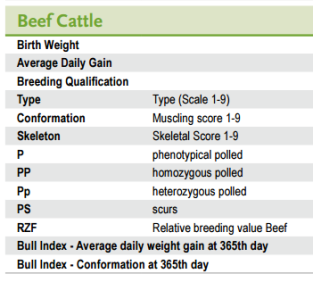 Beef Figures explanation