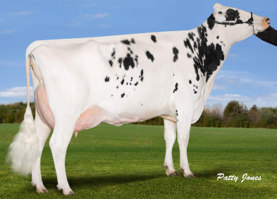 Gen-I-Beq Shottle Bombi EX94