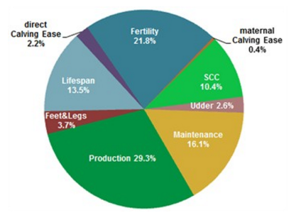 SCI PIE CHART