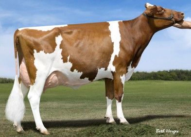 Grandam: MS Talent Applicious Red EX92