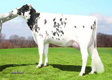 Grandam: Wabash-Way Emilyann VG88