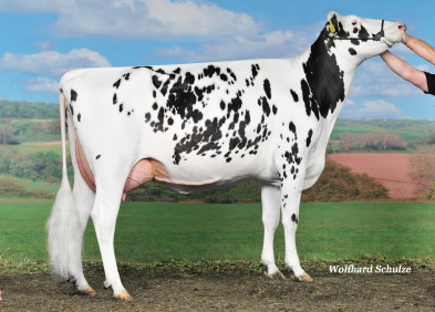 Dam: Pioneer Extra VG85