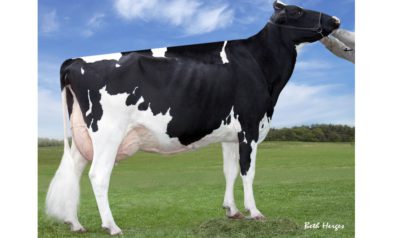 3rd Dam: Regancrest S Chassity EX92-2E