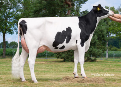 Daughter: Gella GP84