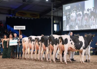 Daughter group, SDB 2026