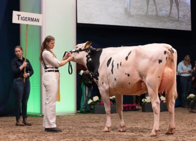 Daughter: LIH Mona GP84