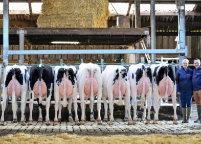 Daughter Group, Ferme de l’Herbagère