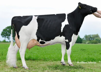 3rd Dam: Bubble VG87