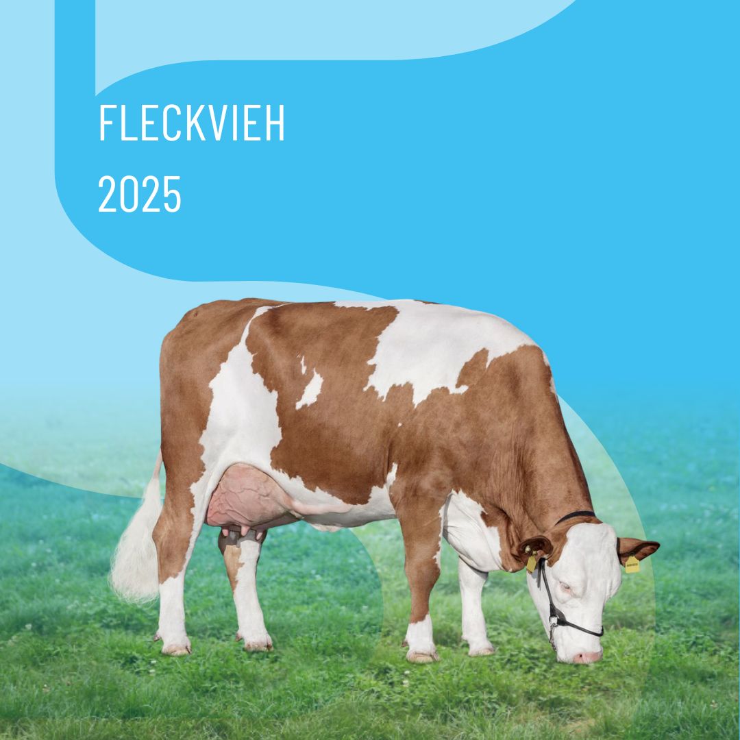 catalog-thumbnail