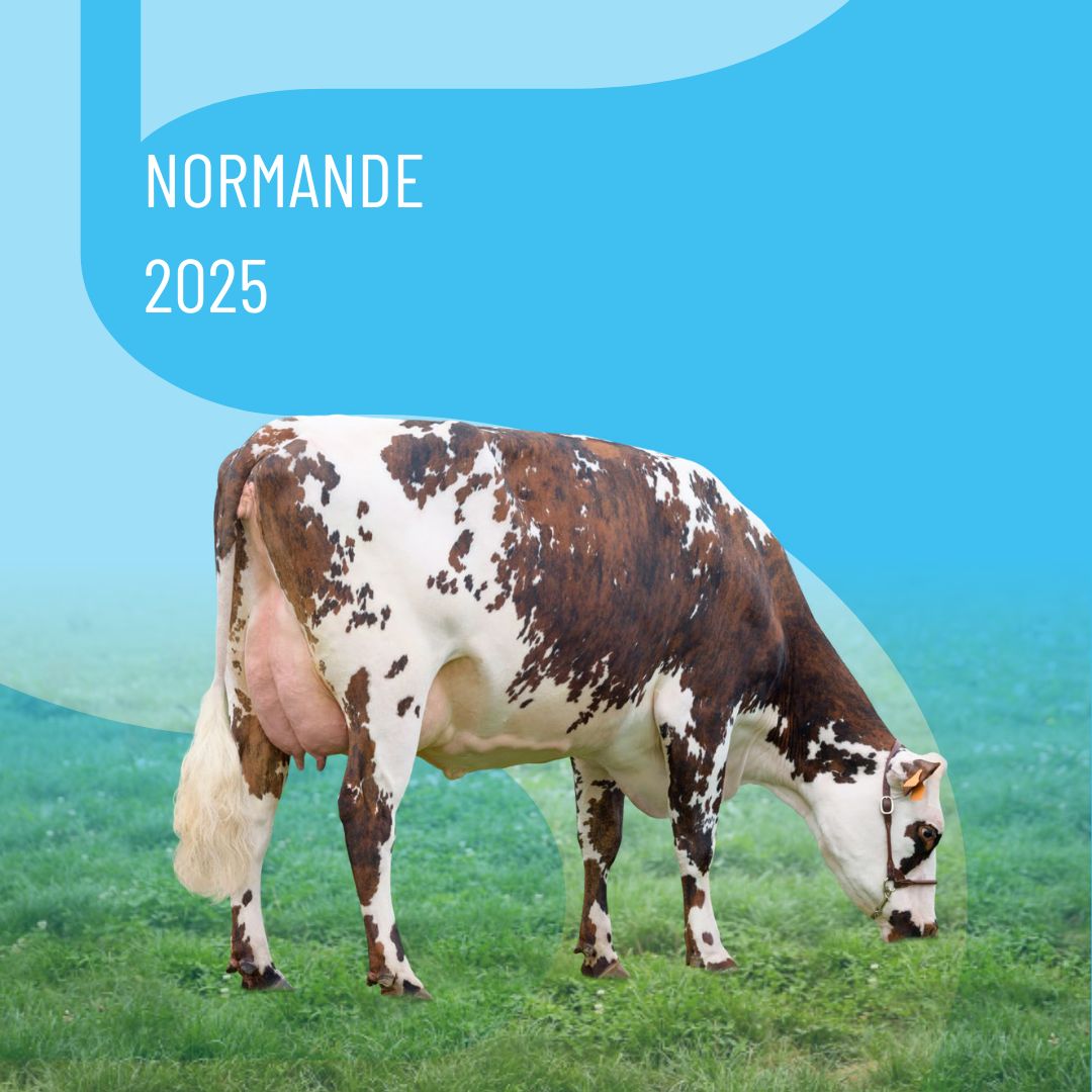 catalog-thumbnail
