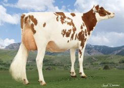 ESKDALE REMOVER PP RDC