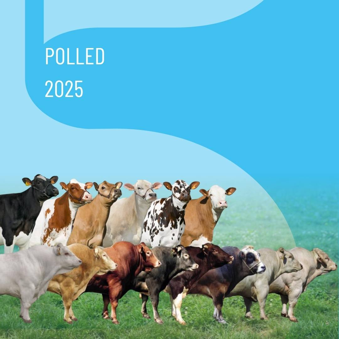 catalog-thumbnail