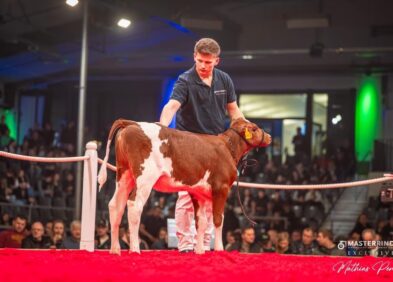 Daughter: ZB Race Lana Del Rey Red PP