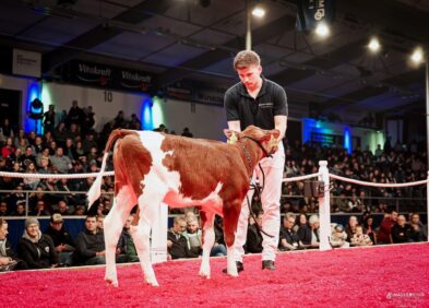 Daughter: ZB Race Lana Del Rey Red PP