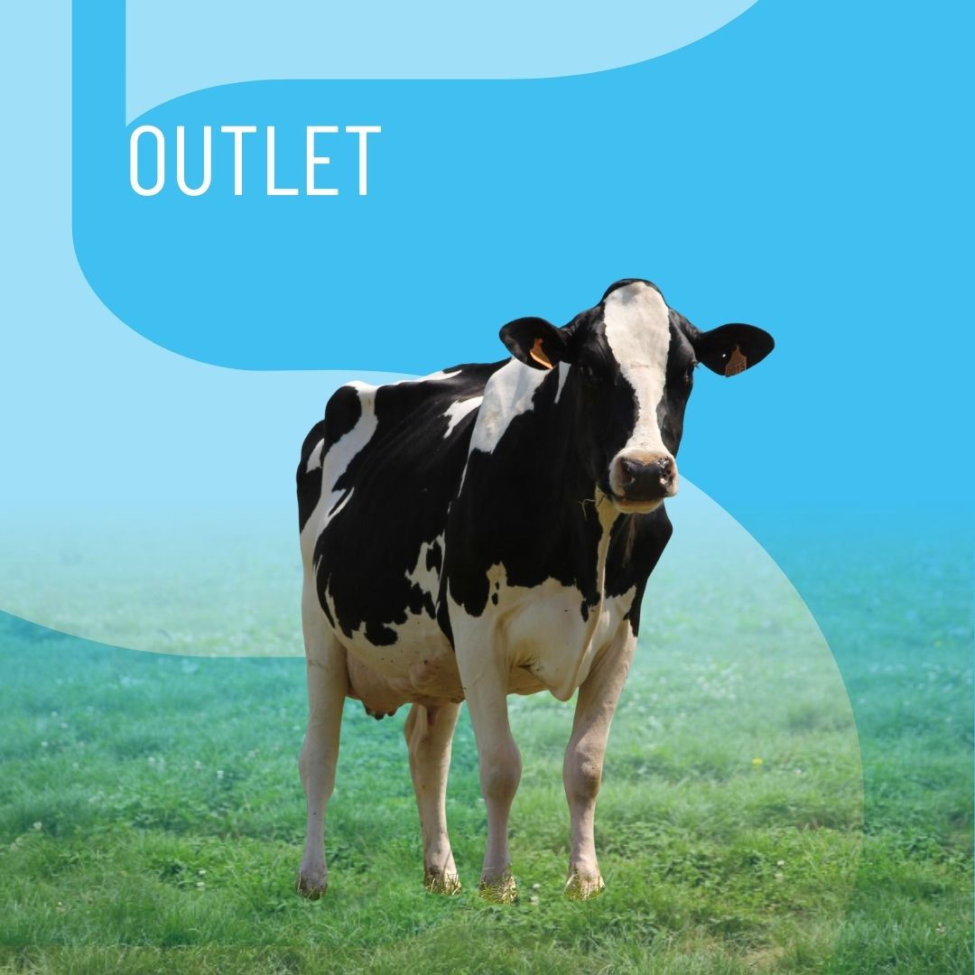 catalog-thumbnail