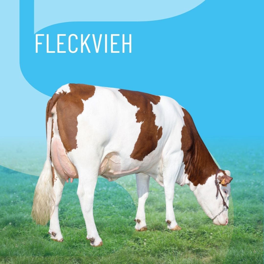 catalog-thumbnail