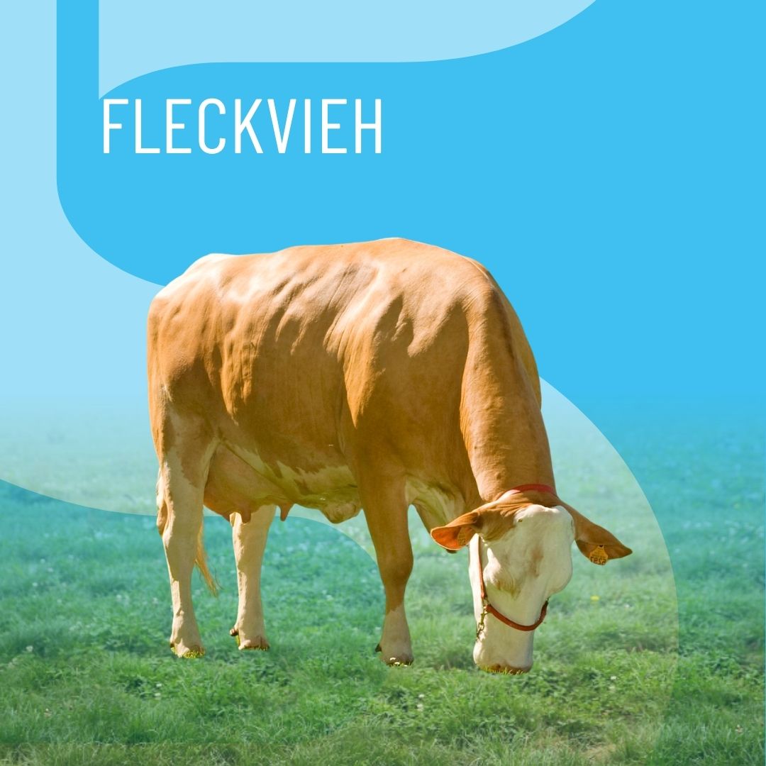 catalog-thumbnail