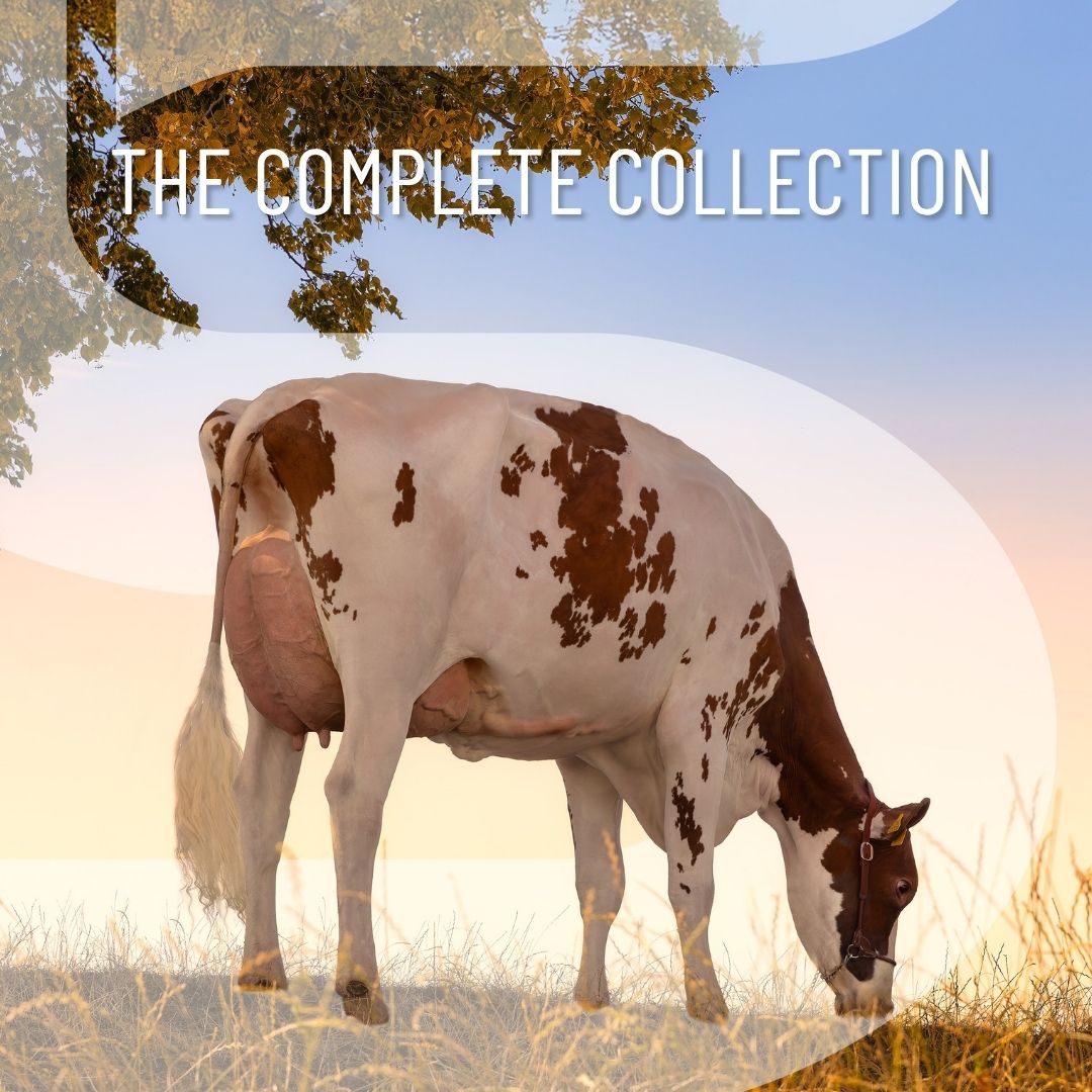 catalog-thumbnail